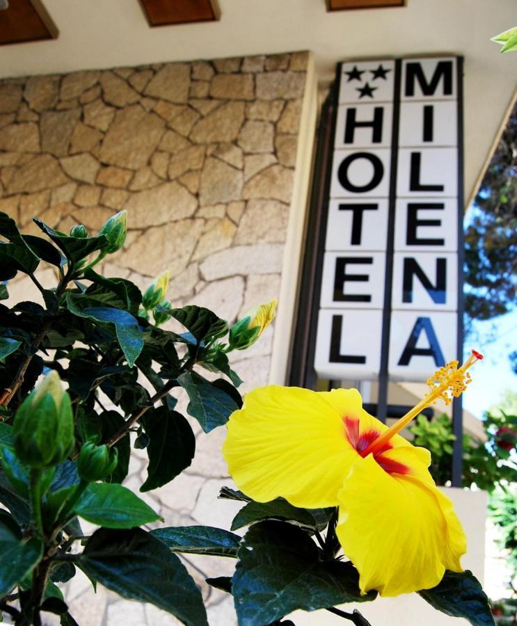 Hotel Milena ริมินี ภายนอก รูปภาพ